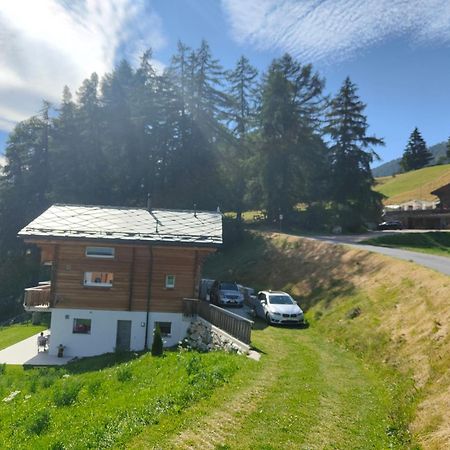 Chalet Matterhornsicht Naters Exteriér fotografie